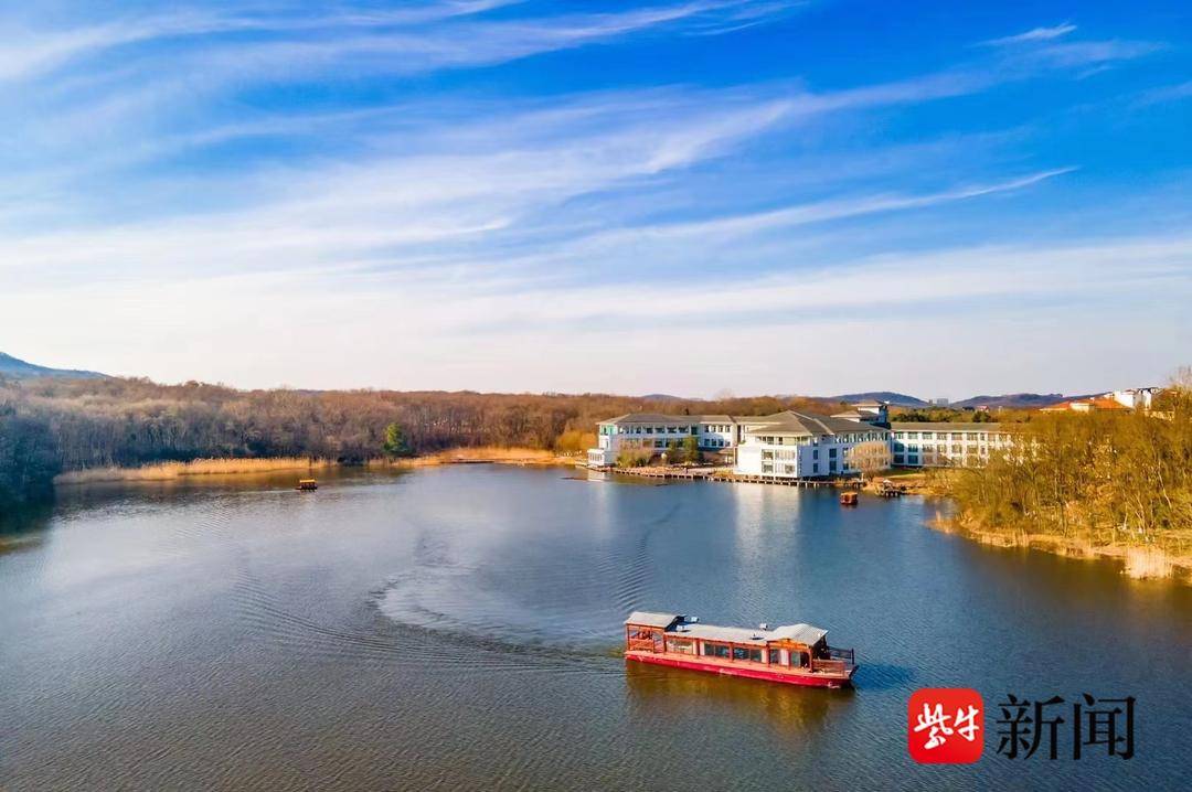 向人民汇报|紫金山庄经营取得历史性突破!*党**建引领,“甜蜜”经济、全员营销,紫金山庄的高质量发展之路