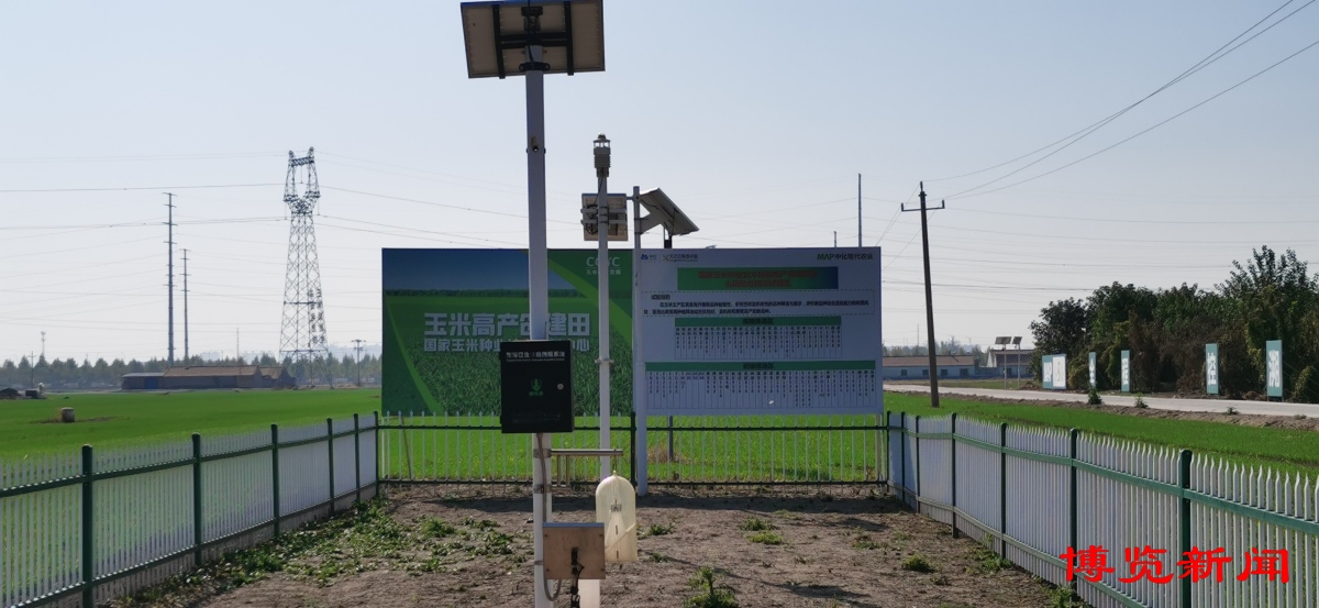 走进千强镇｜唐山镇演绎“膜法传奇”