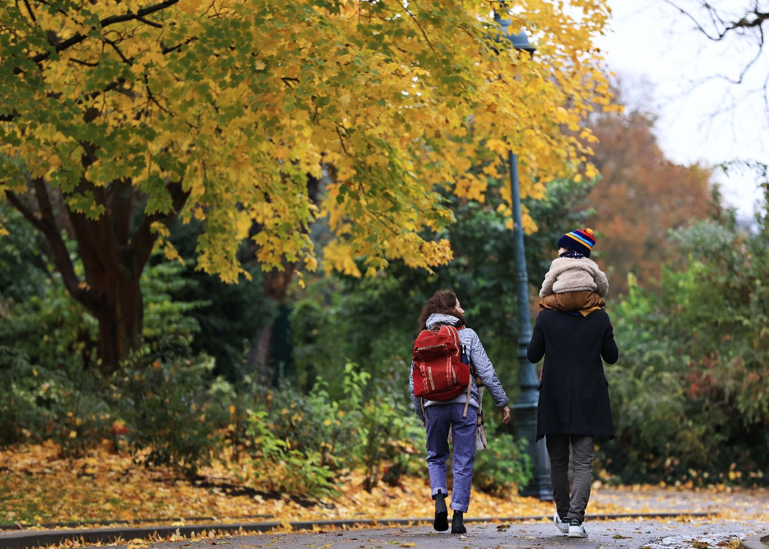 法国巴黎春天般的草木气息,法国巴黎绝美的景色