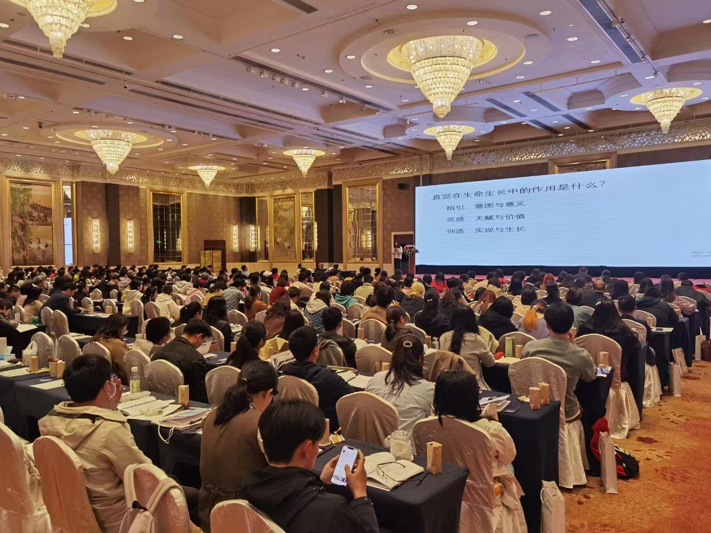 带上心理咨询师的“临床直觉”,湖北省心理卫生协会2024年度学术年会举行