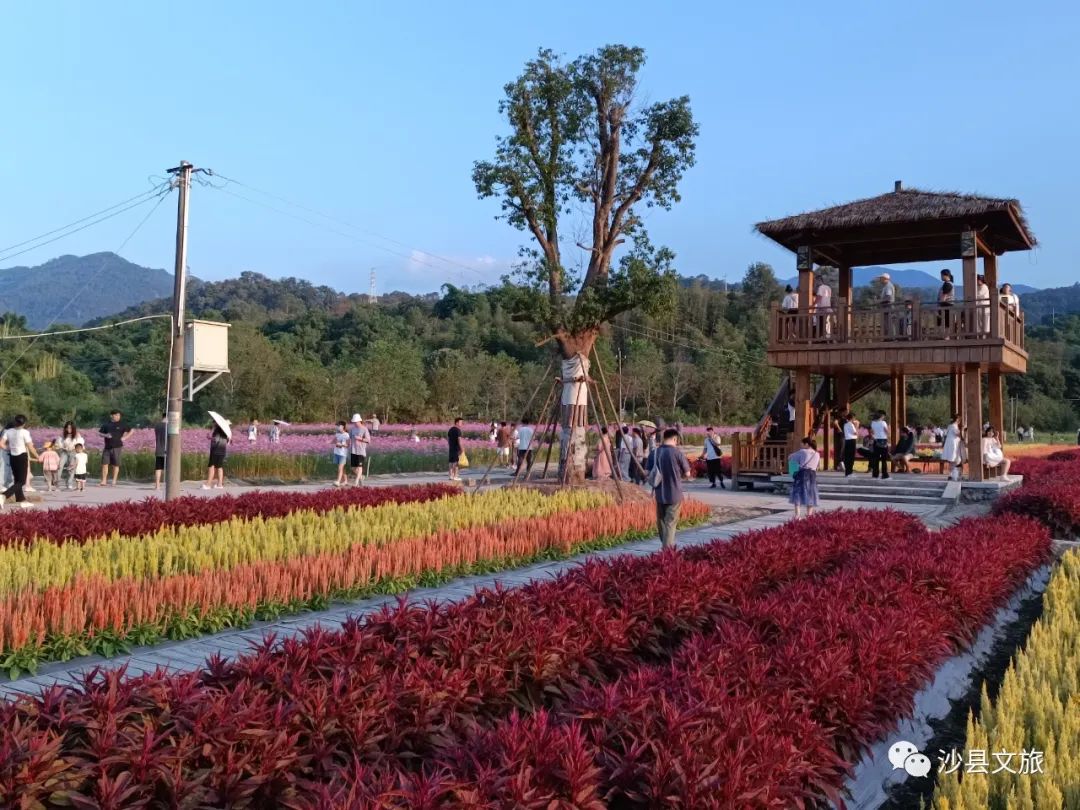 人人人人人人，“加长版”假期，沙县旅游热度持续攀升……