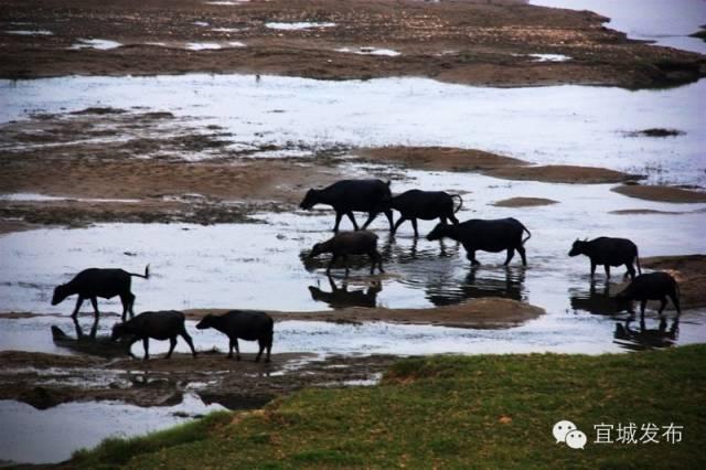 宜城过年气氛,宜城年味