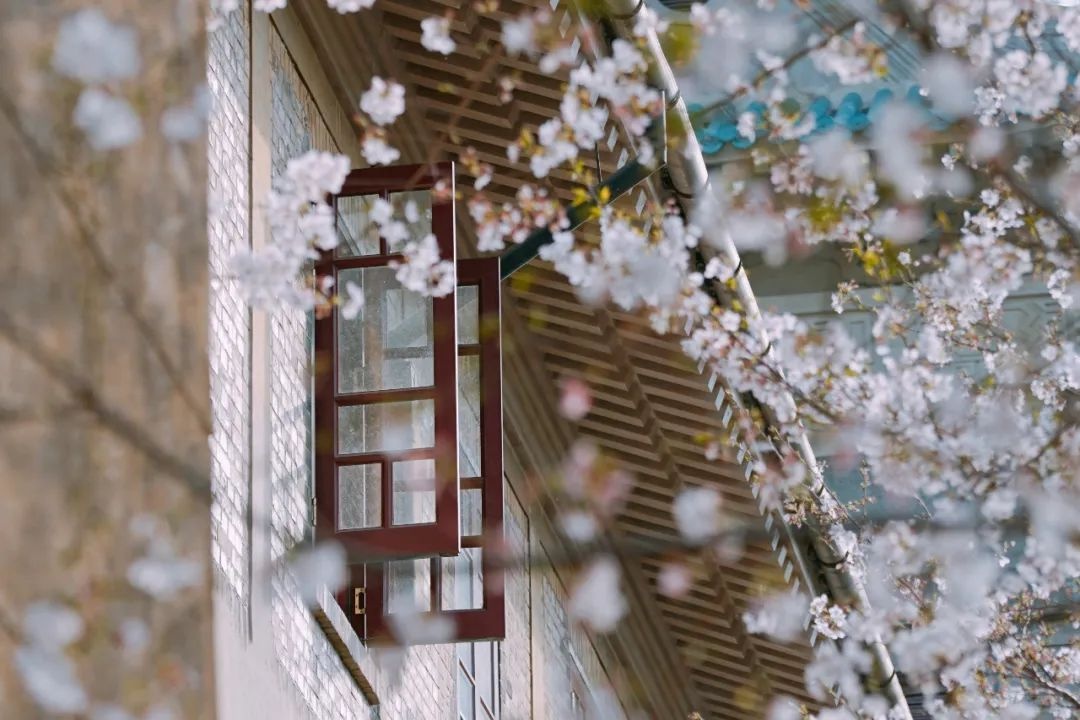 强基计划2024年报考时间,厦门大学强基计划2024年招生政策