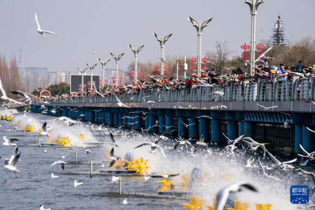 过年旅游去云南,过年旅游去哪里最合适
