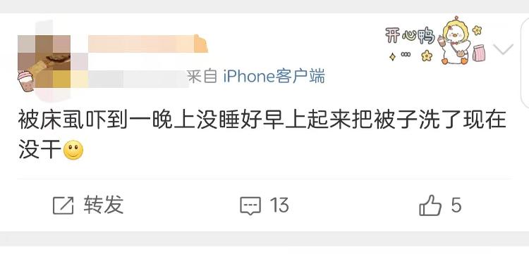 防止床虱叮咬的药,床虱咬后后期怎么处理