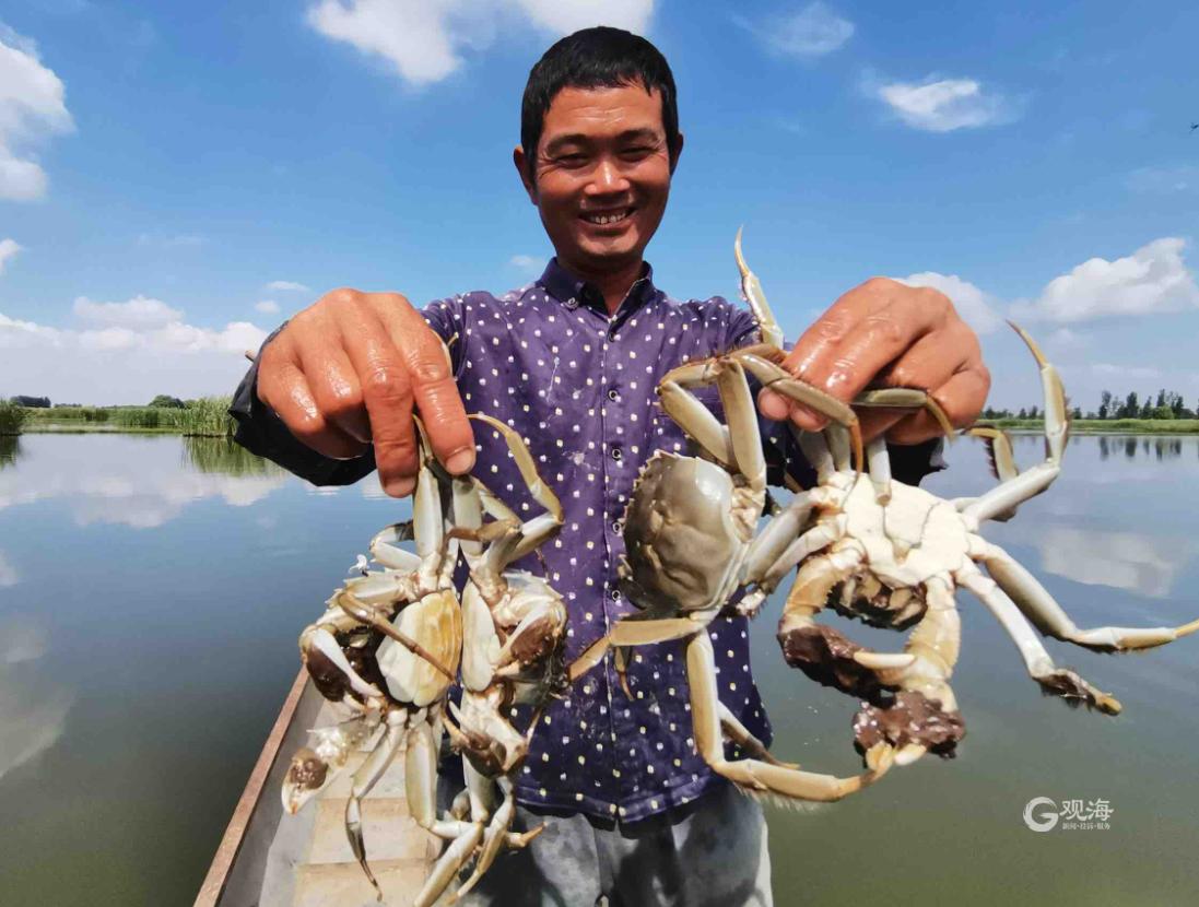 苏州市大闸蟹开捕,直击阳澄湖大闸蟹开捕