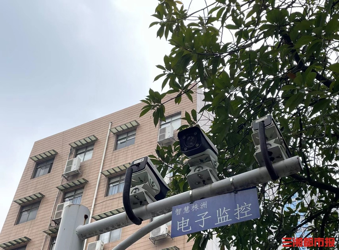 公共安全监控视频可以看么,怎样查看路边公共安全视频监控