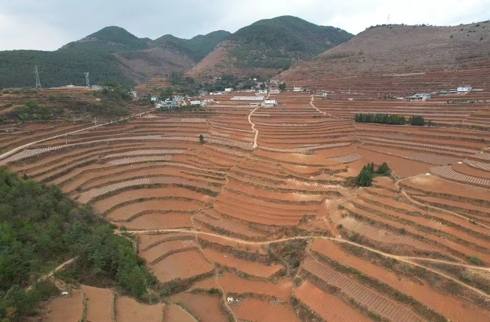 三农新气象春耕备耕忙,会东县新农村