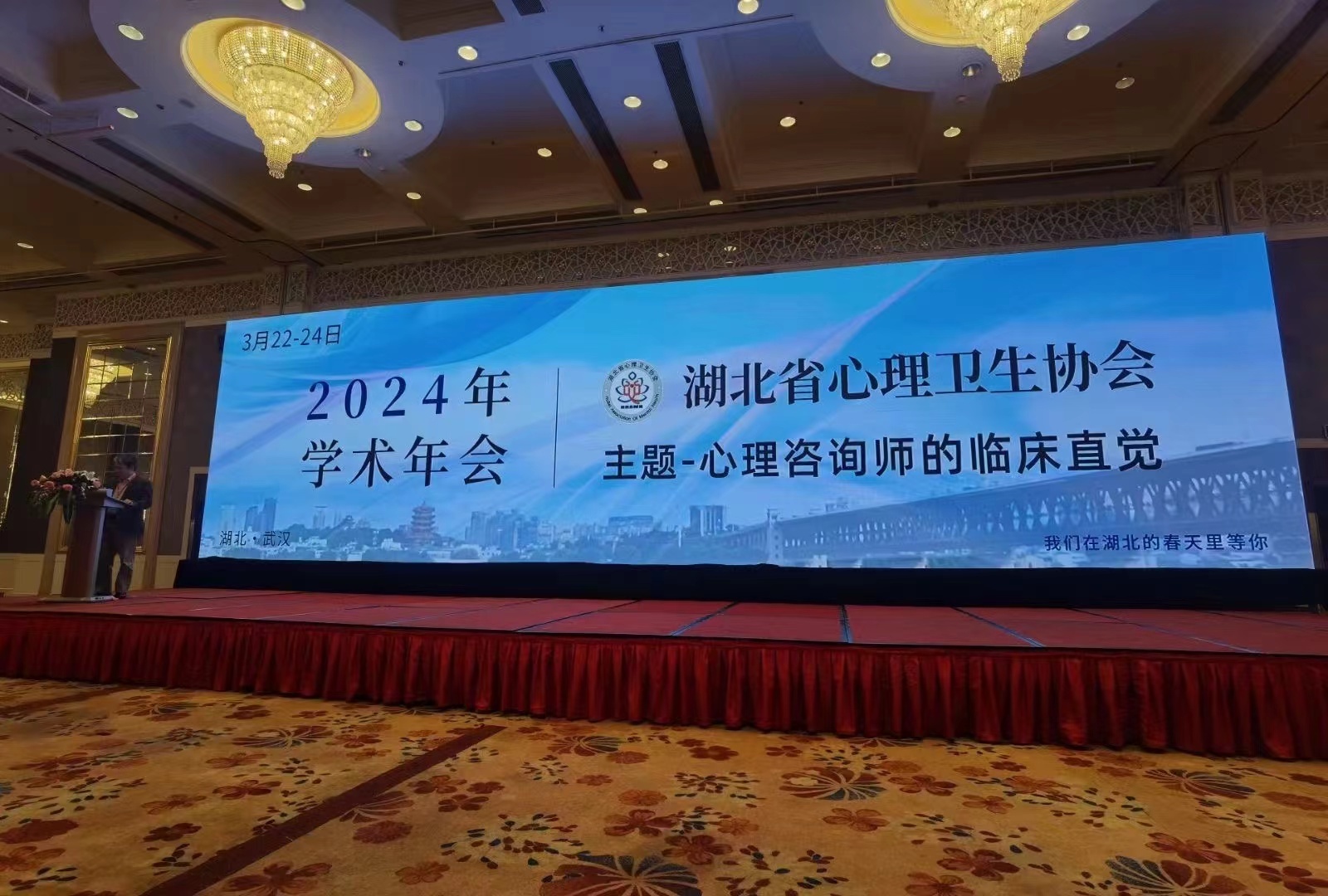 带上心理咨询师的“临床直觉”,湖北省心理卫生协会2024年度学术年会举行
