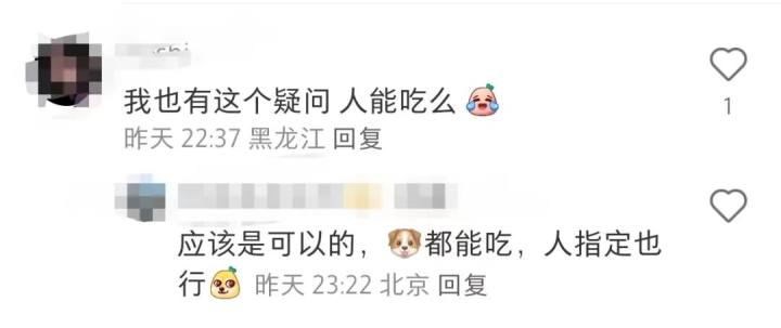 好利来新品宠物蛋糕,好利来推出宠物蛋糕