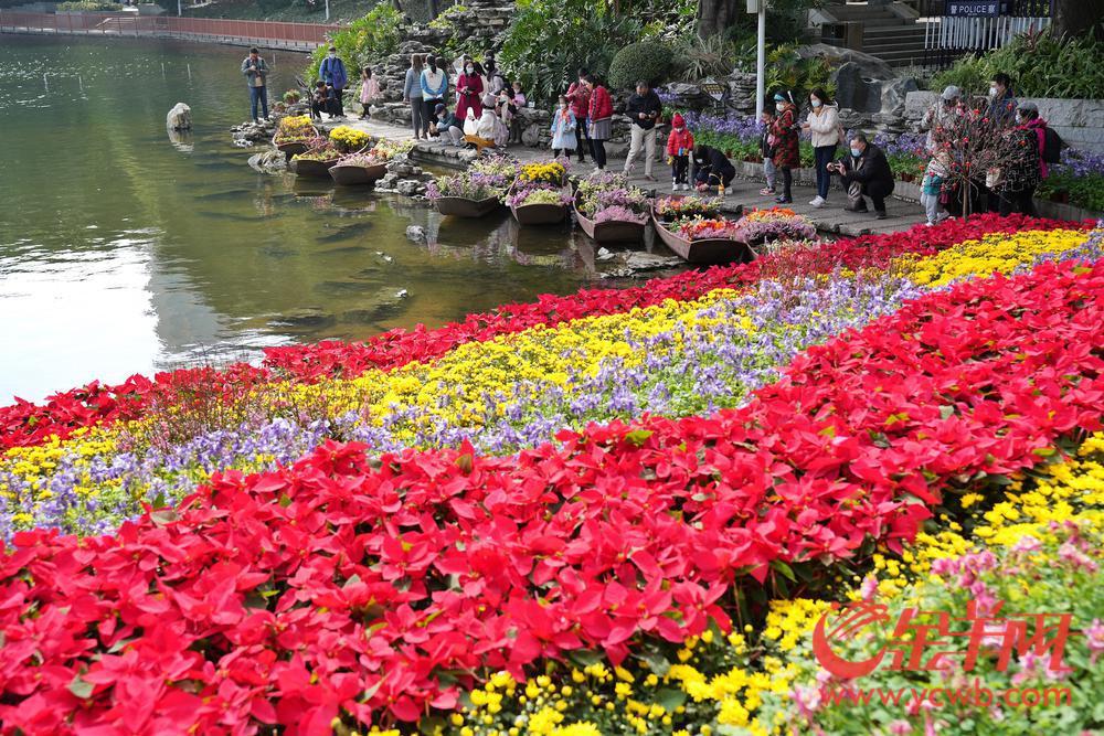 荔湾路花市攻略,广州荔湾花市有哪些