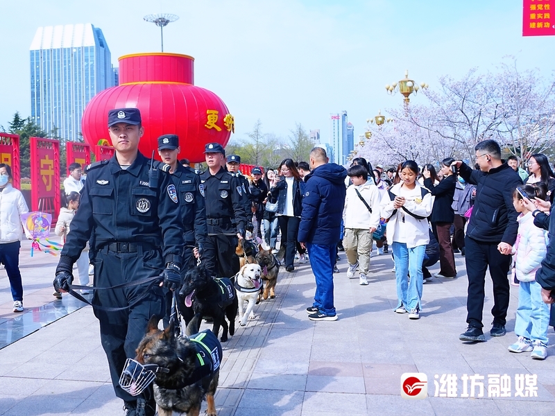这个假期盛开如花,赴一场花之约邂逅春日浪漫