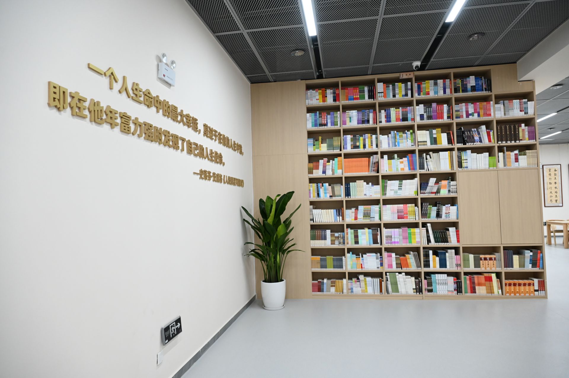 一座美好的图书馆应该是怎样的？南外高中图书馆新馆给出了答案