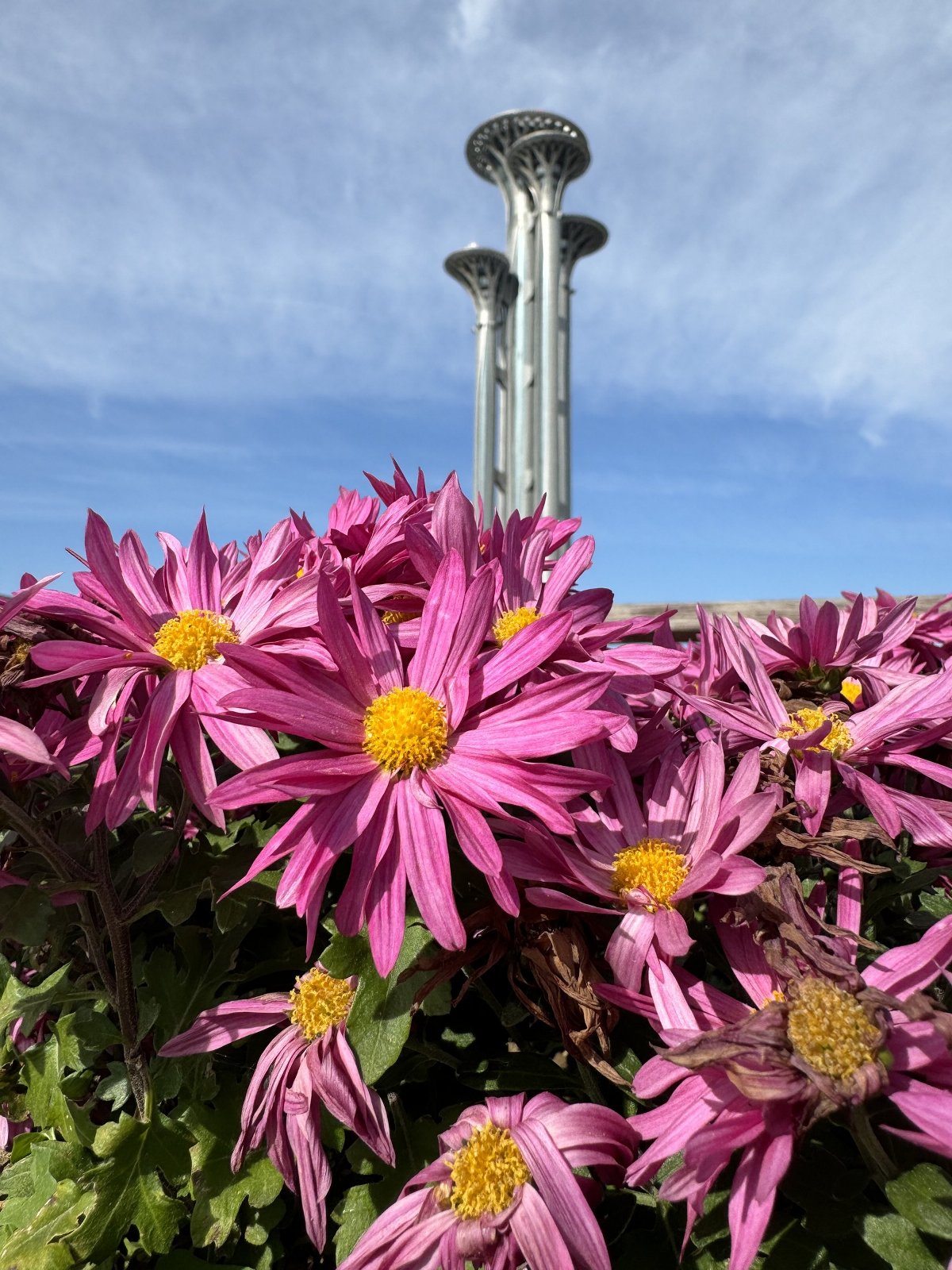 来看一下苹果15promax拍摄,苹果15promax拍摄最清晰参数