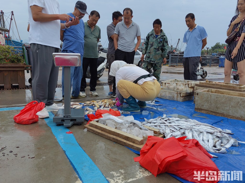 青岛开海渔船出海视频,青岛小港渔船出海