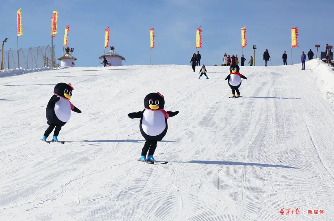 梅河口市滑雪场收藏排行榜,收藏滑雪视频