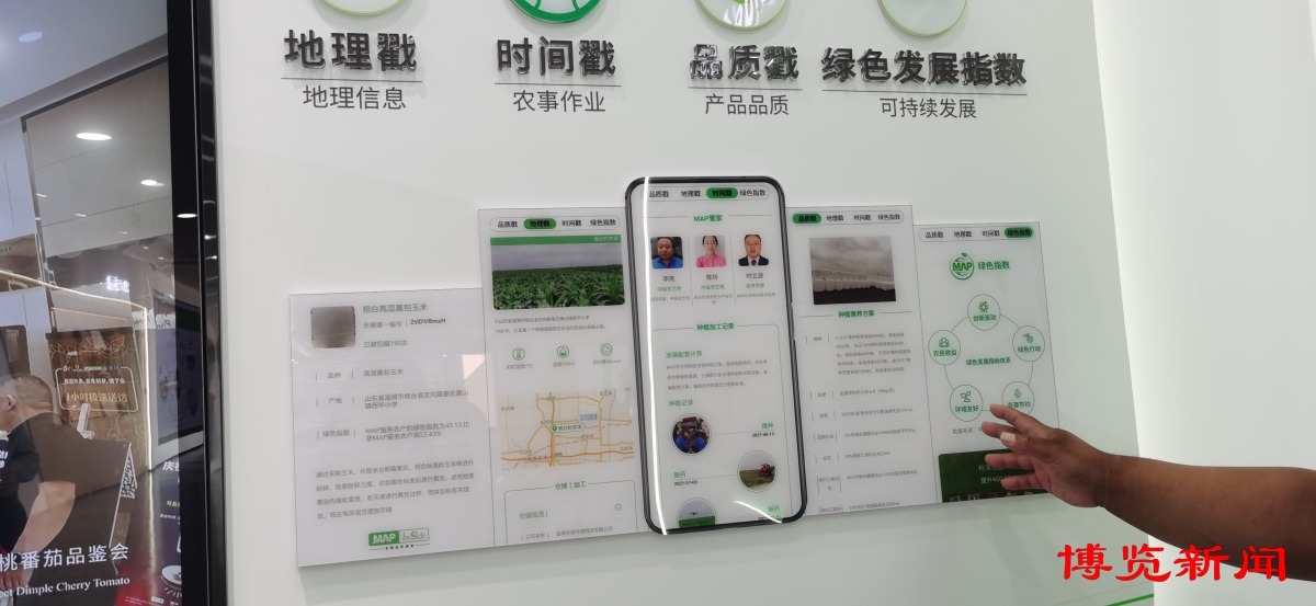 走进千强镇｜唐山镇演绎“膜法传奇”