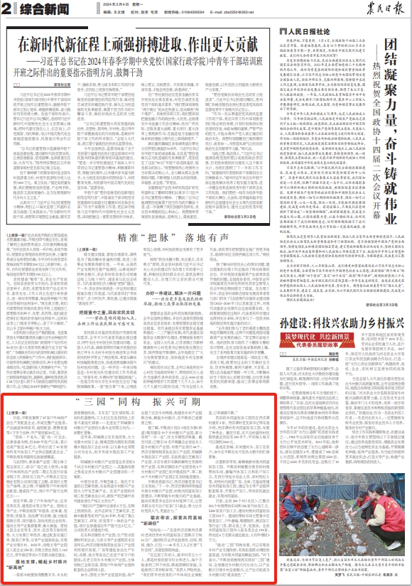 平舆县打造乡村振兴示范村,乡村振兴农民日报