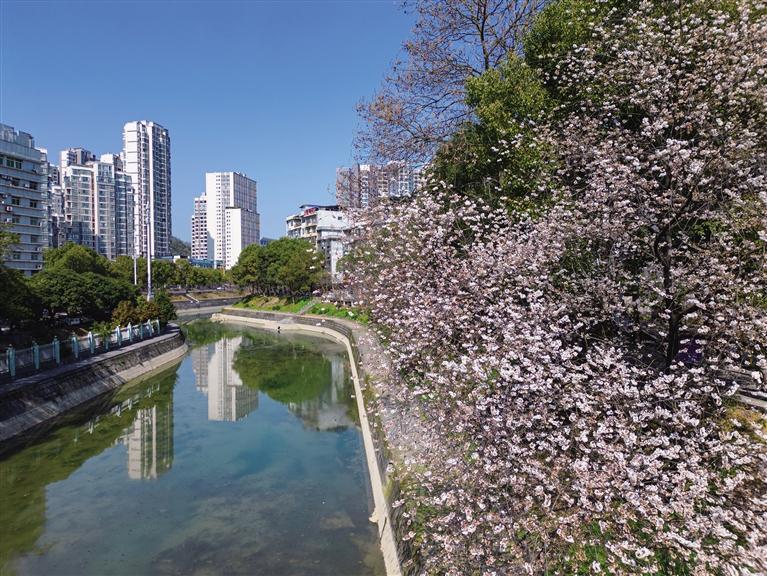 春来湘西，拈朵微笑的花