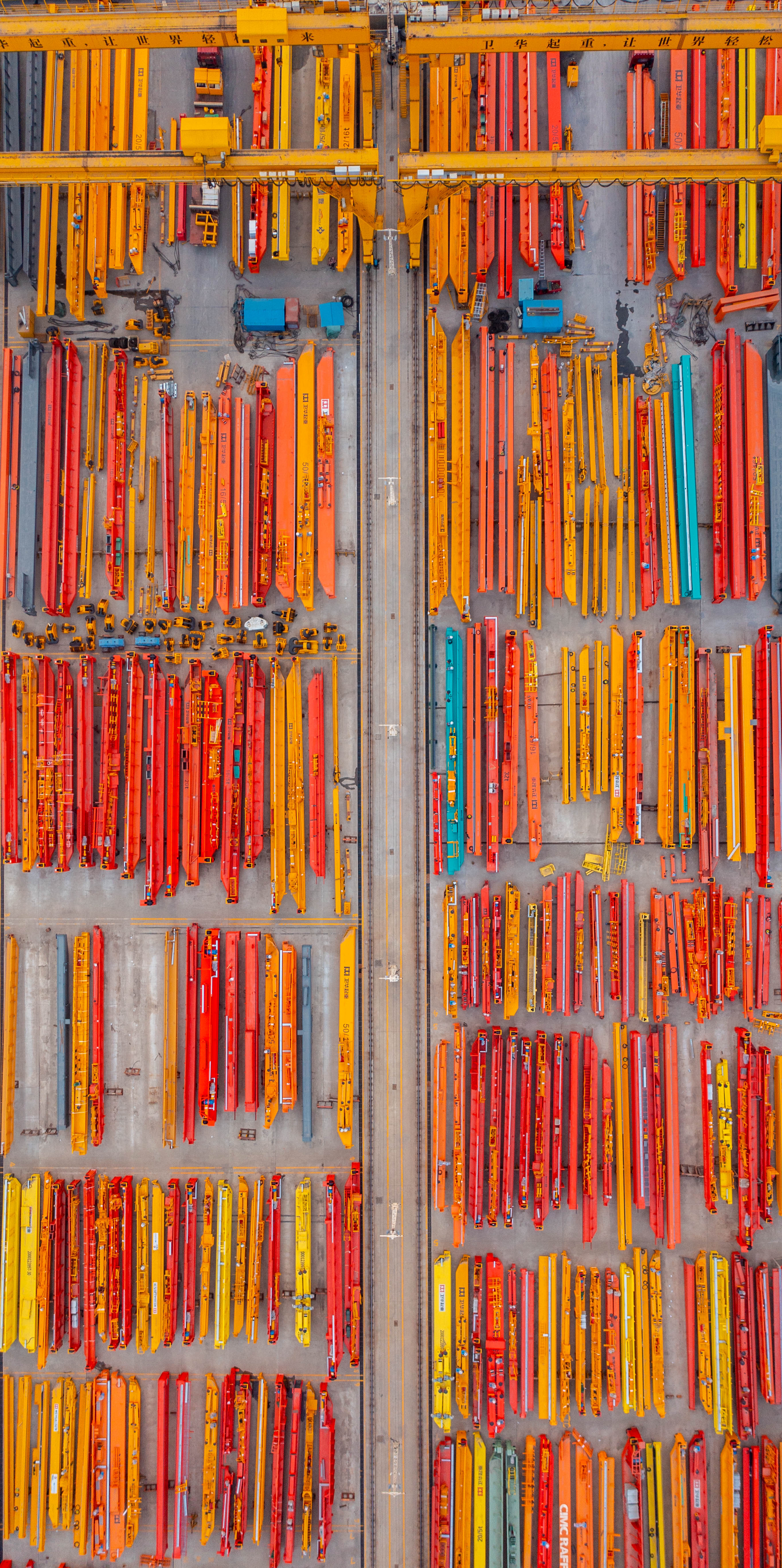 河南向新而生,向新而生完整视频