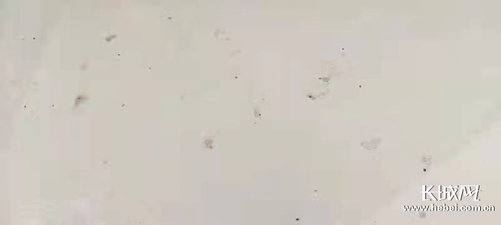 问政河北可解决什么问题,问政河北解决问题的概率大吗