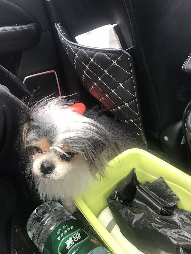 省道244自驾游攻略,最美228国道公路自驾游攻略