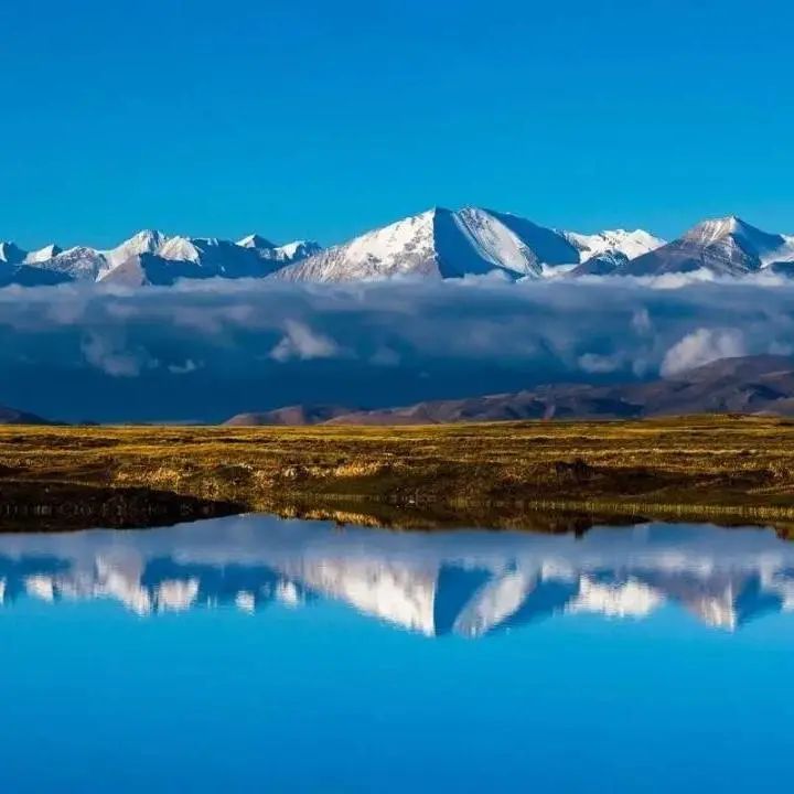 嗯用日语怎么读,嗯读什么