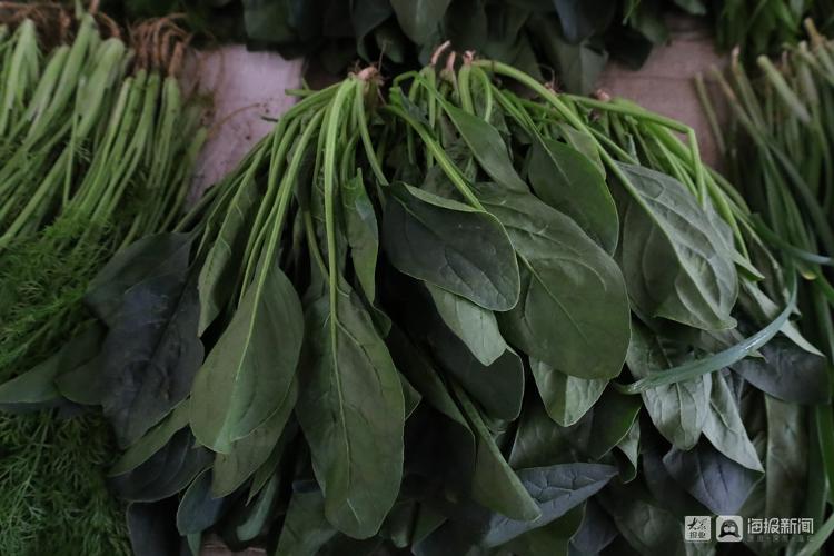 市民菜篮子有保障,市民菜篮子的视频