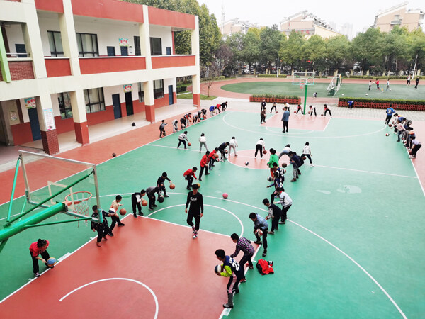 协同育人赋能成长总结,一体化课后服务