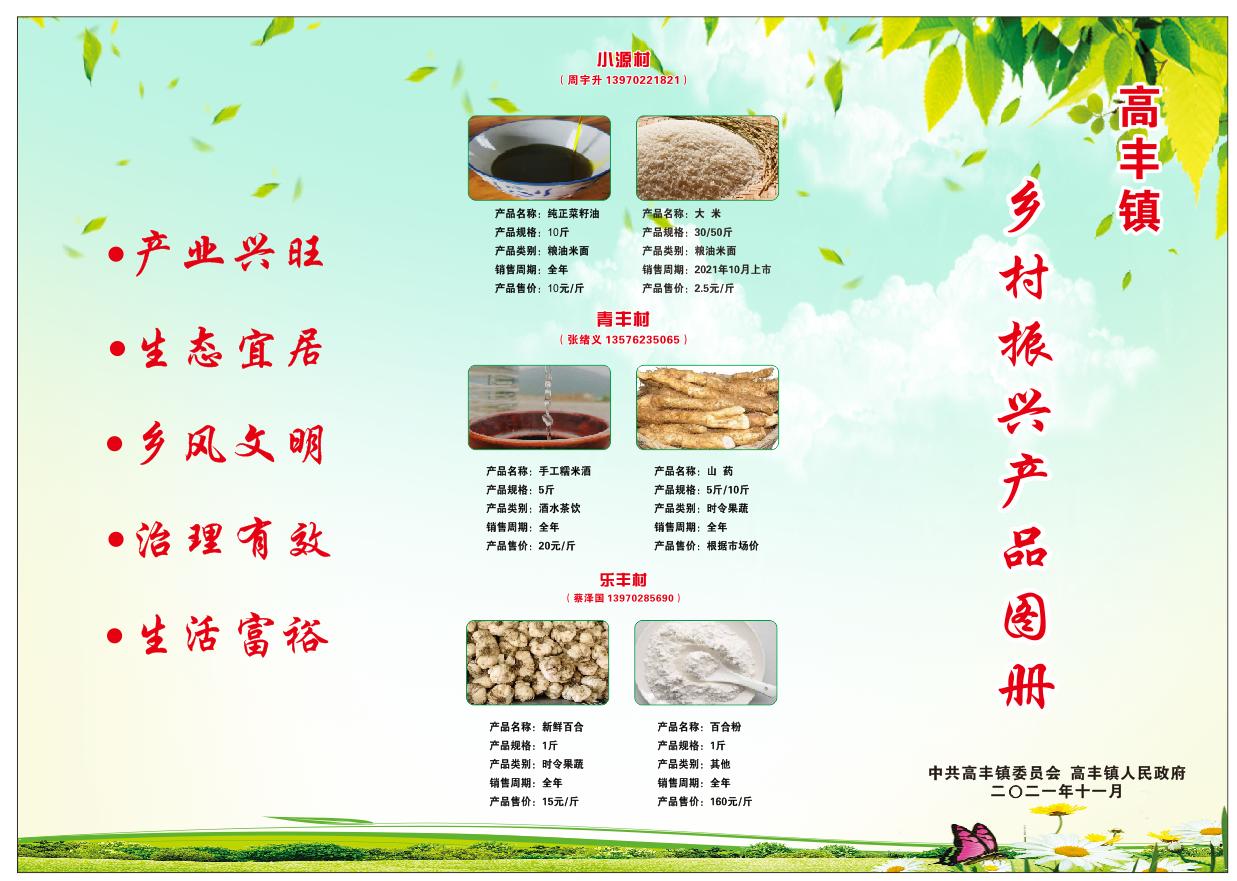 乡村振兴高丰,汾阳高丰村做电商