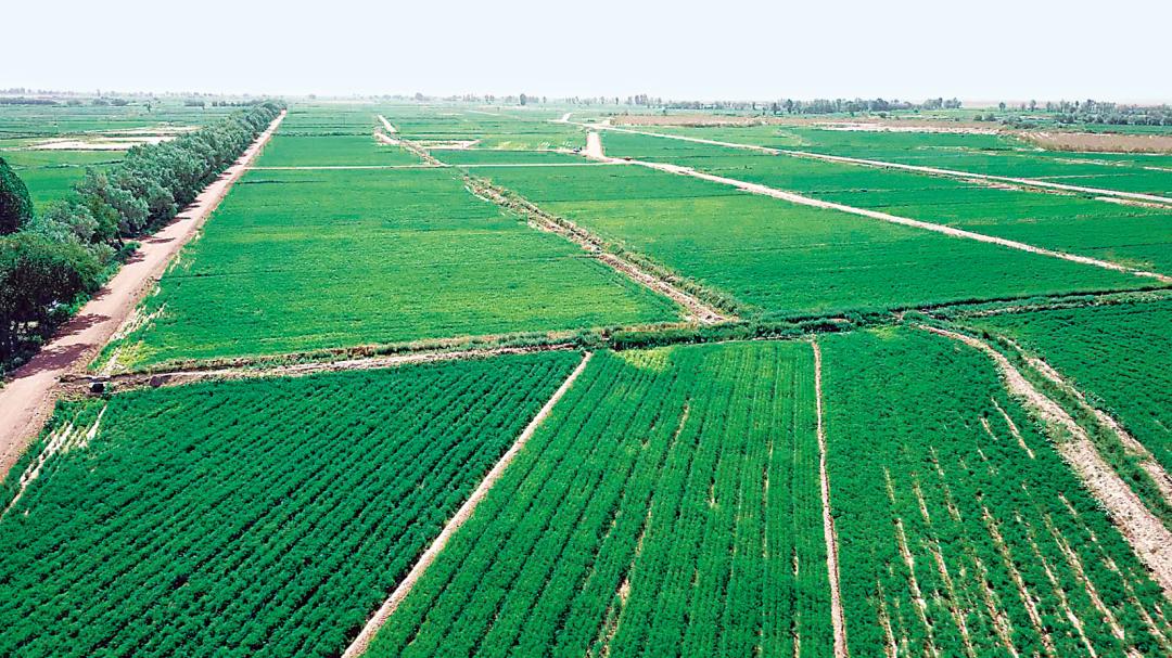 历史文化名城武威,武威市历史文化名城