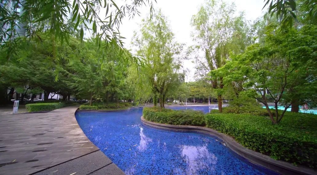 聚焦“一核一区一带”、规划新建10所学校……七宝，未来可期丨“一把手”话新图景