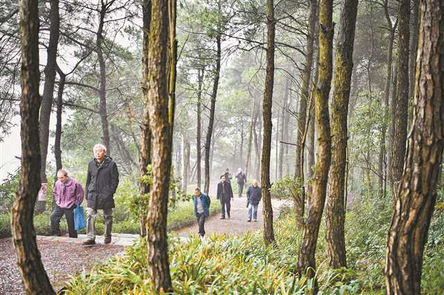 挺起山城的脊梁｜“城市绿肺”更清新