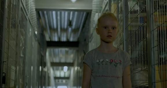 《雄狮少年》口碑,雄狮少年前传