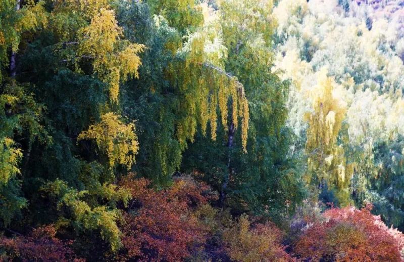 “悦”读*疆新**|博格达之门