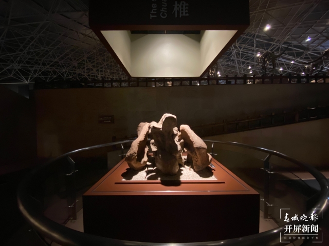 禄丰世界恐龙谷与恐龙博物馆,禄丰恐龙谷飞越侏罗纪项目