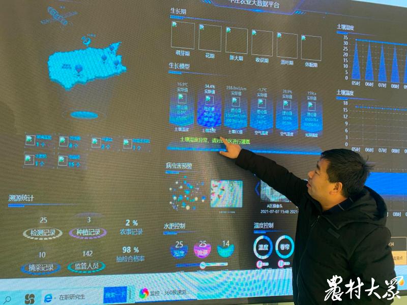 老苹果树怎么处理,老苹果树咋样