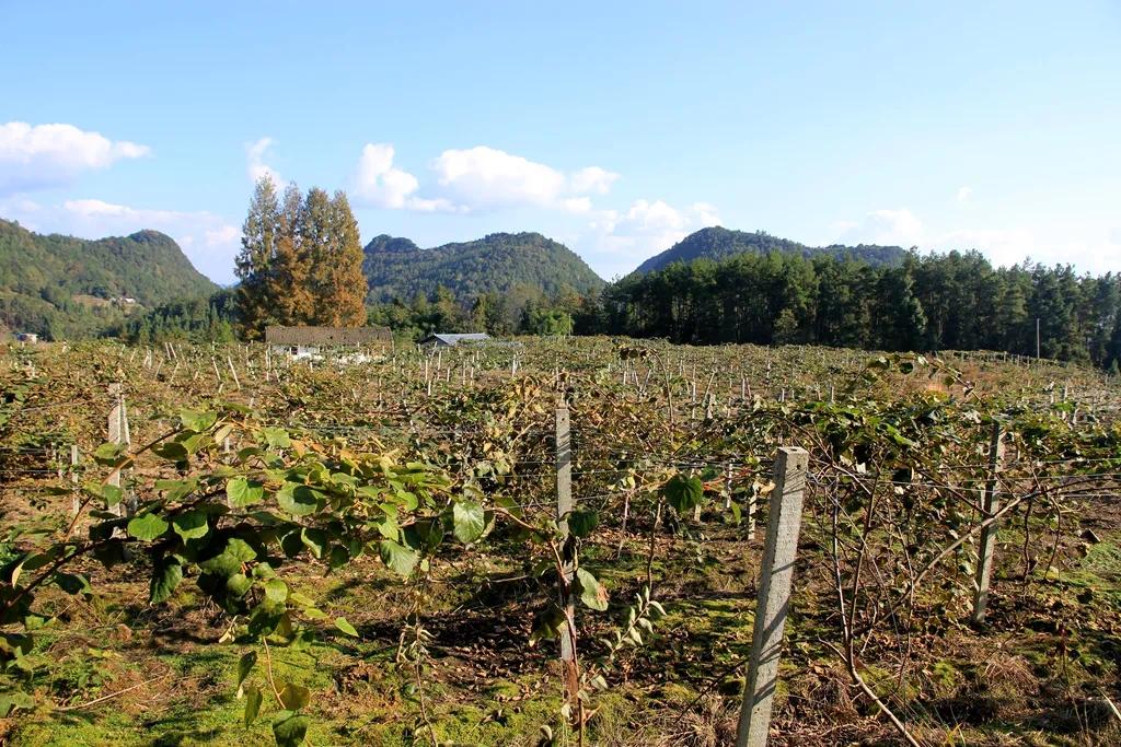 王晓磊军人,王晓磊简历