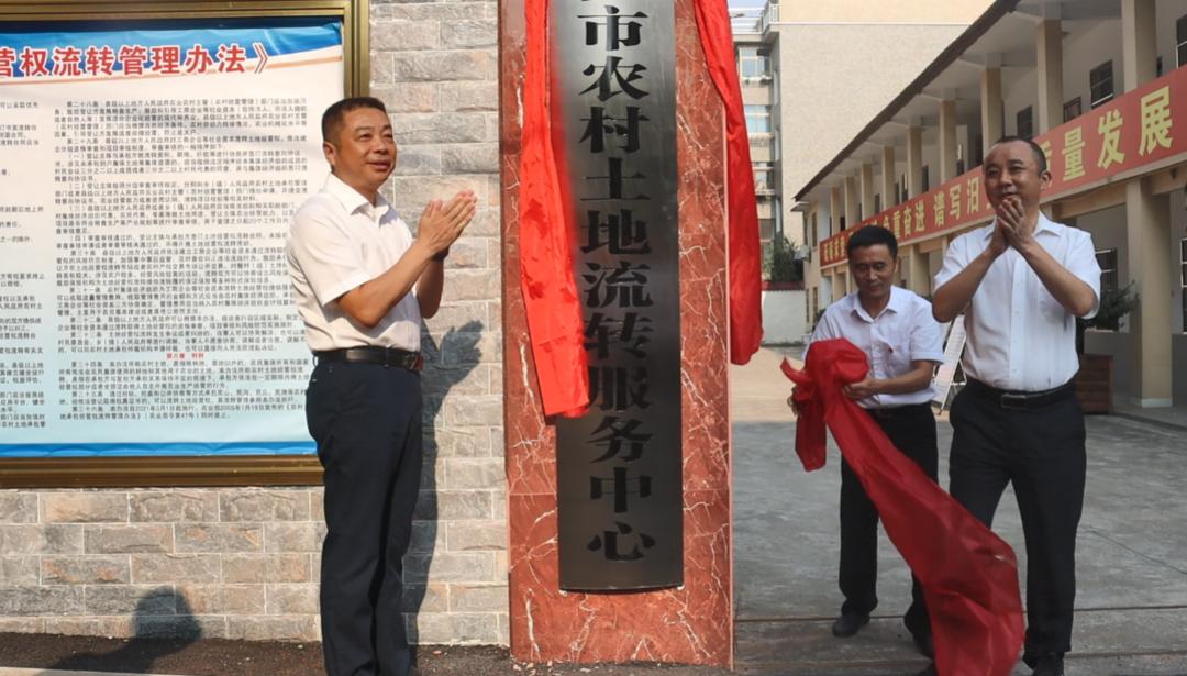 龙舟故里汨罗,汨罗龙舟故里