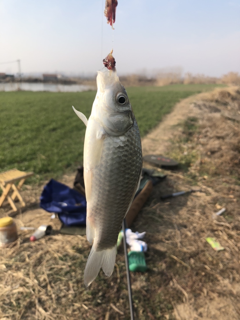 冰钓沉浸式体验,第一次体验冰钓视频