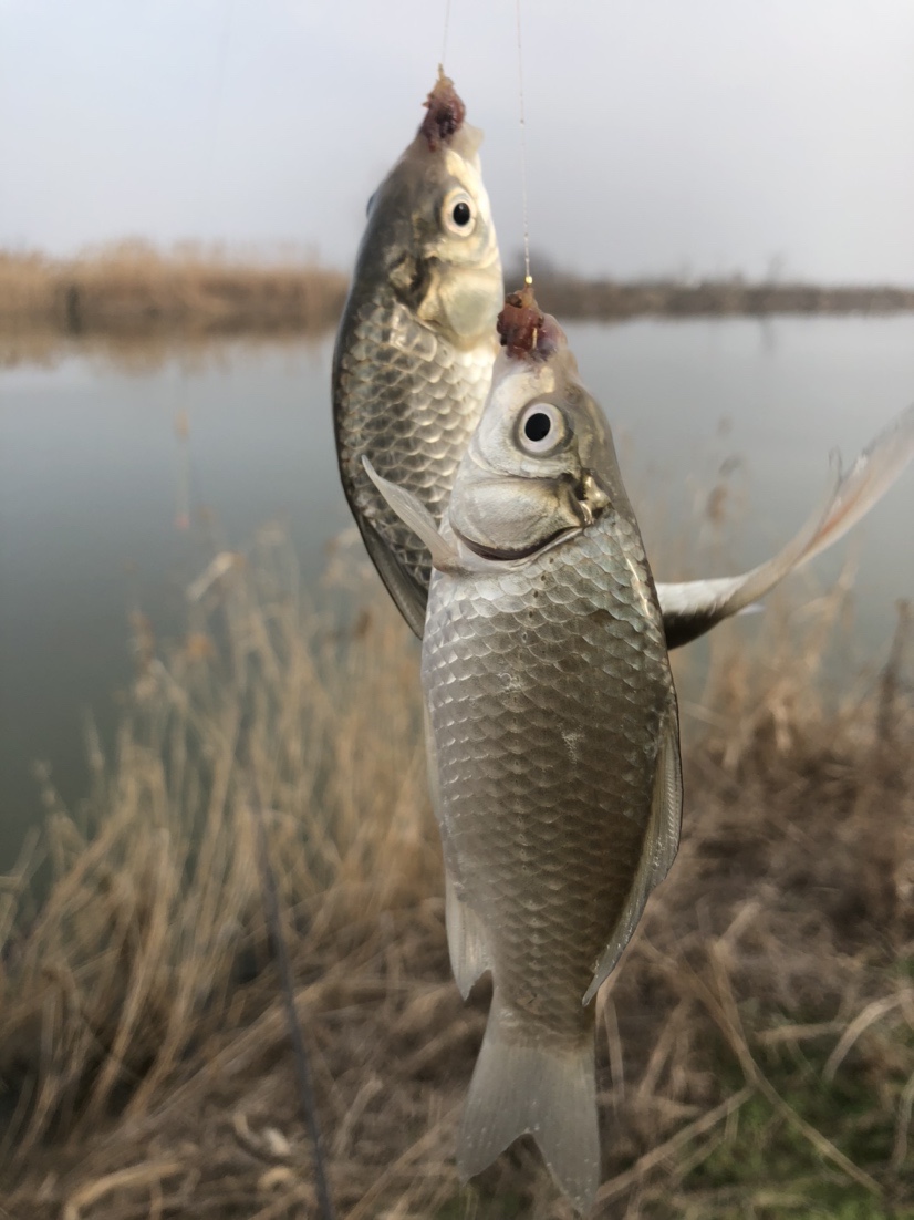 冰钓沉浸式体验,第一次体验冰钓视频
