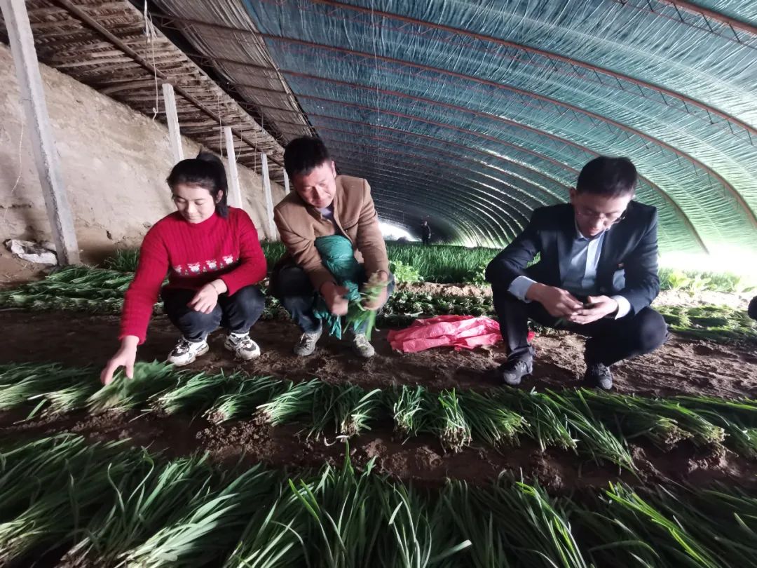 为妇女群众办实事,乡村振兴创业担保贷款帮扶政策