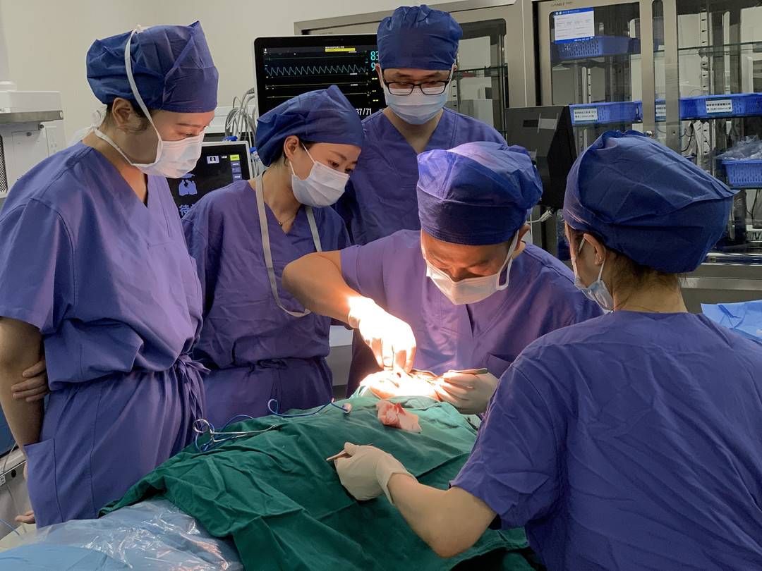 刀尖上的艺术苗族,华西天府整形