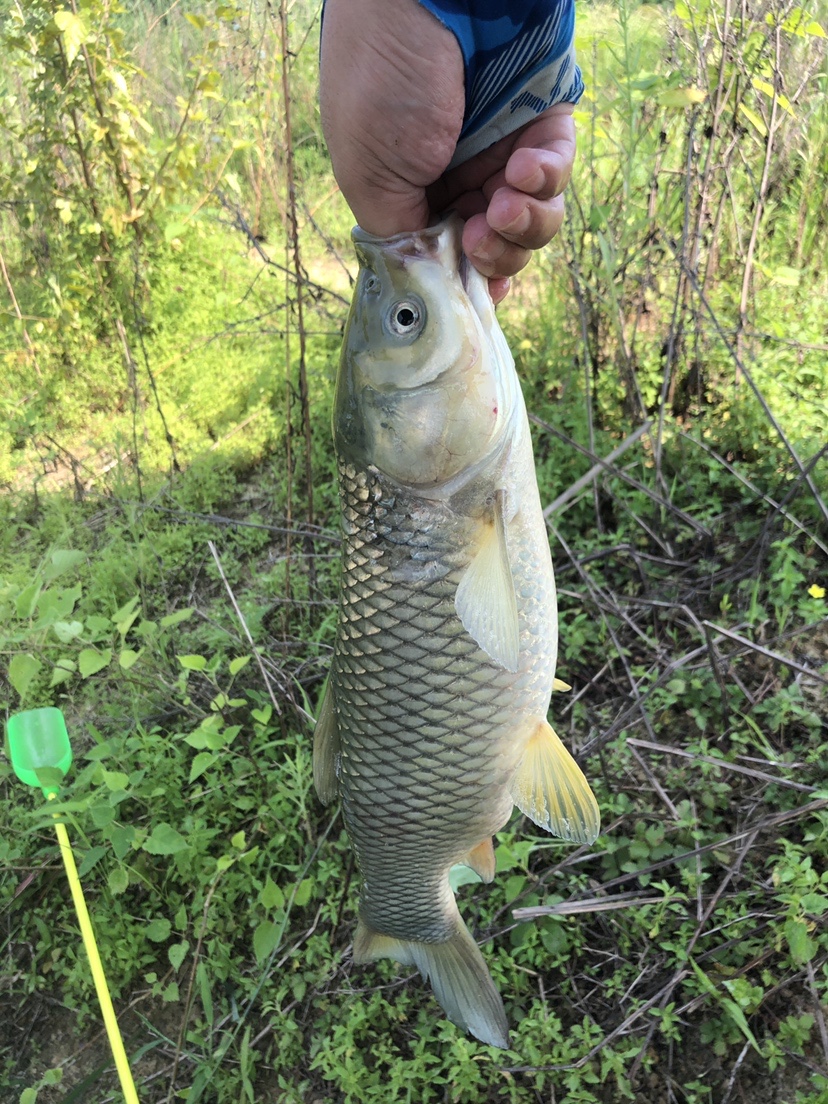 2021打龟爆护同在，未来渔你同行