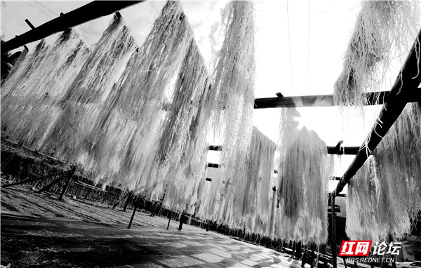 这就是年味纯手工的红薯粉,原汁原味红薯粉