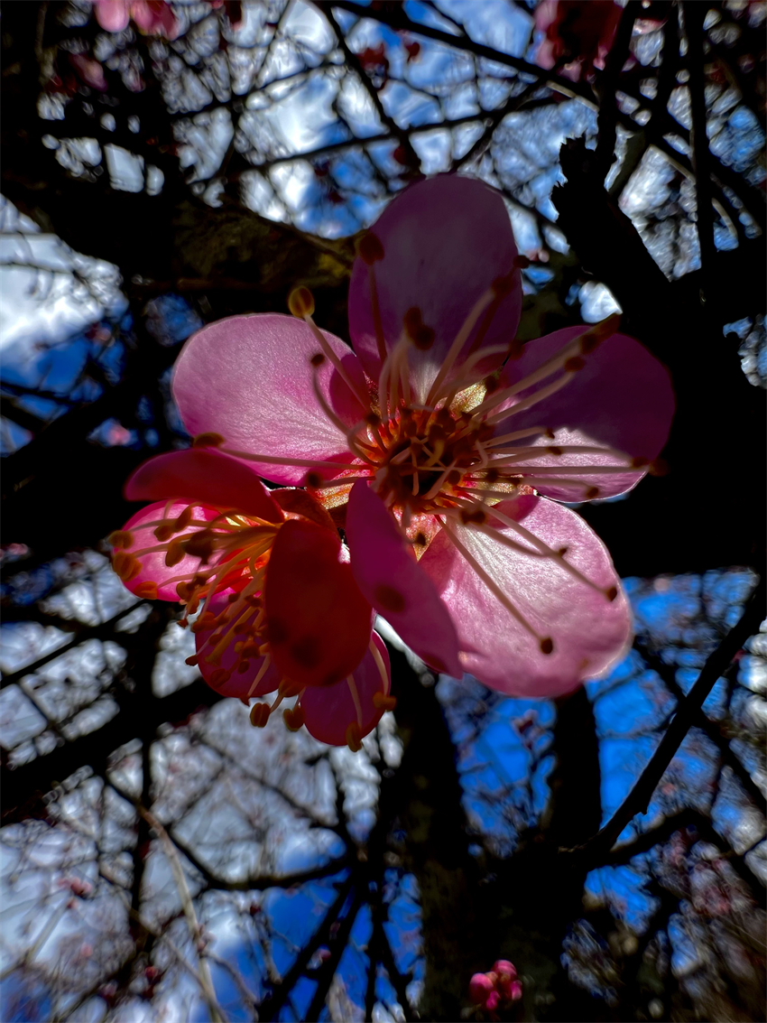 零下2°C的丽江，一个字，绝