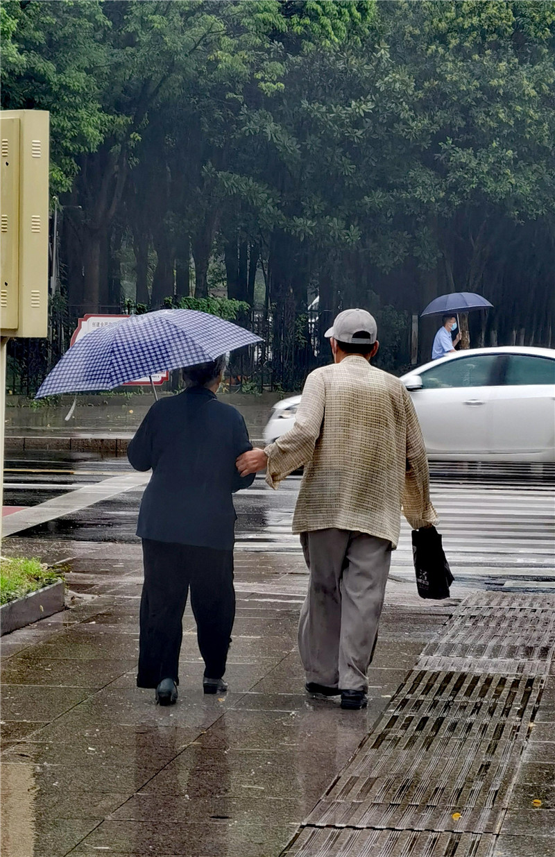 宿迁随手拍,随手拍家乡之美