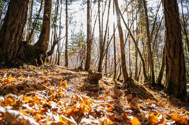 冬日梦幻童话九寨沟12月出发,九寨沟翠海蓝冰