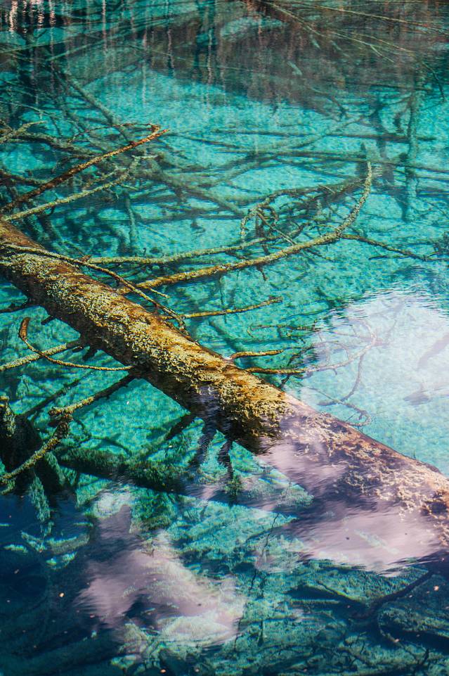 冬日九寨童话世界,九寨沟翠海蓝冰