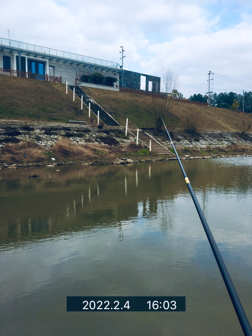 用老婆的菜篮子装新年的第一“金”